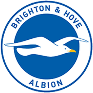 Logo of Brighton Hove Albion